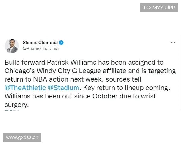 费尔明伤病动态