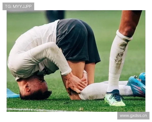 维尔茨重伤后状态恢复程度如何体现